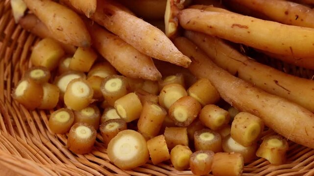 Fresh Finger root or Kaempfer (kachai)