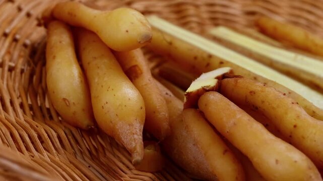 Fresh Finger root or Kaempfer (kachai)
