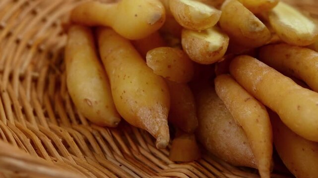 Fresh Finger root or Kaempfer (kachai)