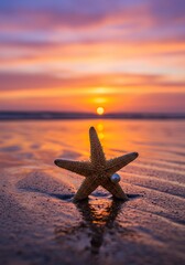 Fototapeta na wymiar Starfish on Beach at Sunset