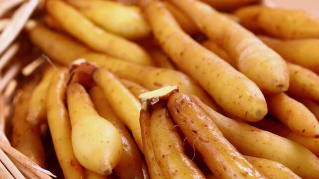 Fresh Finger root or Kaempfer (kachai)