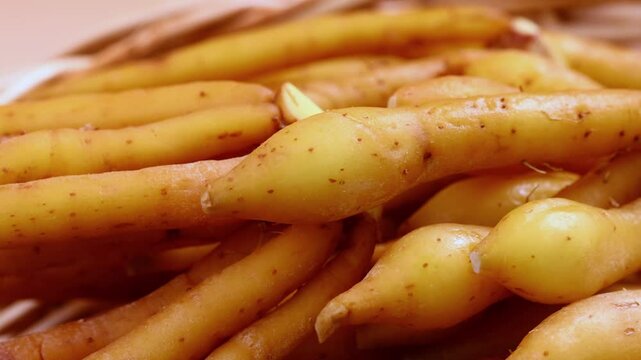 Fresh Finger root or Kaempfer (kachai)