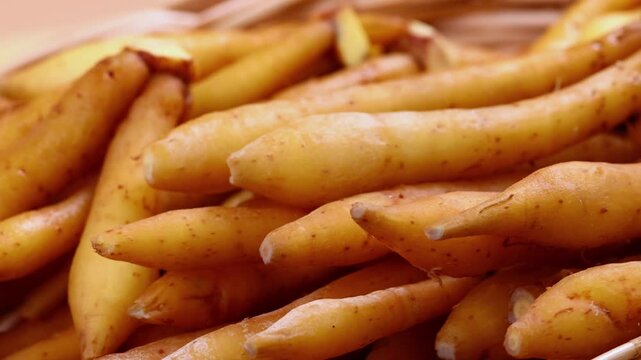 Fresh Finger root or Kaempfer (kachai)