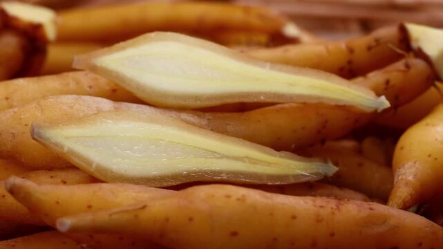 Fresh Finger root or Kaempfer (kachai)