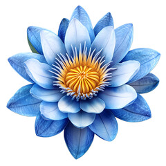 Obraz premium Radiant Blue Lotus Flower on Transparent