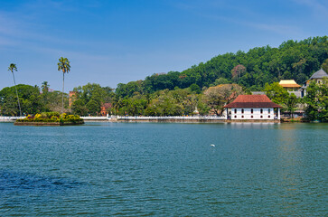 Obraz premium KANDY, SRI LANKA - FEBRUARY 10, 2021: View on Kandy lake and big Buddha on top of the hill. Kandy is home of The Temple of the Tooth Relic, one of the most sacred Buddhist places of worship. 