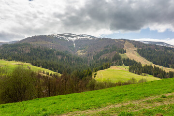 Naklejka premium countryside mountain landscape in spring. borzhava ridge. cloudy weather. field and forest on the hill. rolling rural scenery of podobovets valley. alps of ukraine