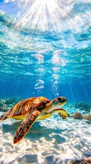 Obraz premium Sea Turtle Underwater Paradise.