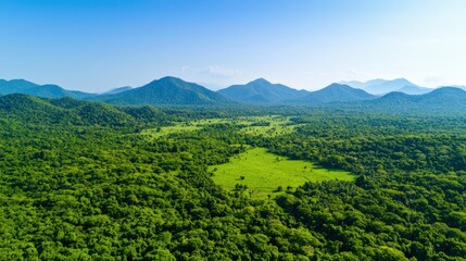 Obraz premium Reforestation project thriving in lush green landscape with mountains and clear blue sky