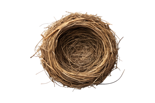 A rustic bird's nest constructed from twigs on a transparent background