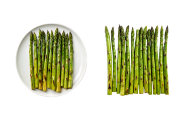 Grilled Asparagus on White Plate and Separated Against Gray Background, Appetizing transparent background