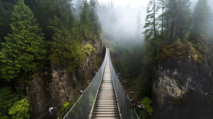 Obraz premium A narrow wooden suspension bridge swaying above a foggy ravine, with towering rock walls and dense forest creating an atmospheric scene. 