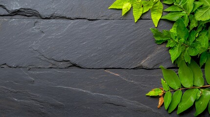 Green Leaves on Dark Stone Texture Background for Design