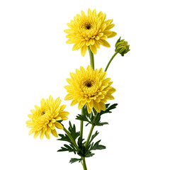 Obraz premium bouquet of yellow flowers