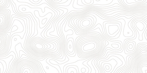 Fototapeta premium Topographic contour map. similarcartography illustration. Topography and geography map grid abstract backdrop. Business concept. Fish Fillet Texture, Salmon fillet texture, fish pattern. paper texture
