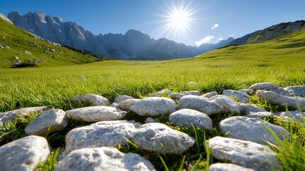Green Meadow with Rocky Foreground and Mountain Range Under Bright Sunlight
