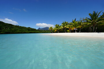 Fototapeta premium tropical beach with turquoise water