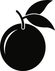 Kumquat icon Silhouette vector on transparent background