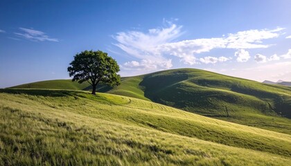 Obraz premium Tranquil landscape of undulating green hills with a solitary tree against a blue sky