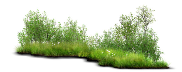 grass on white background/Lush green shrubs and foliage growing naturally among tall grass.