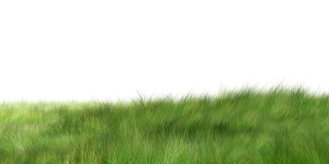 green grass isolated on white background