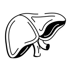 A hand drawn style icon depicting the liver organ