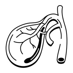 An icon of the gallbladder designed in drawing style
