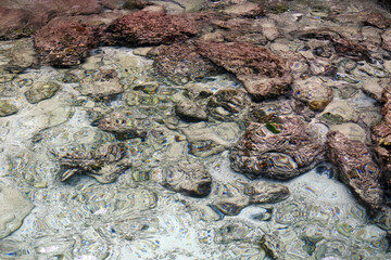 Surreal Shallow Seabed &mdash; Ethereal Light Distortion Over Eroded Coral and Multicolored Stones in Crystal Clear Waters