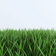 Fototapeta premium grass and sky