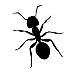 A striking silhouette of an ant, standing out against a white background