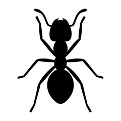 A bold black silhouette of an ant with clearly defined features