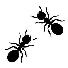 Two Ant Silhouettes in Black on a White Background Illustration
