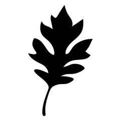 Silhouette of a pinnately lobed leaf with a slender stem on white