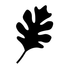 Elegant silhouette of a single oak leaf isolated on a white background