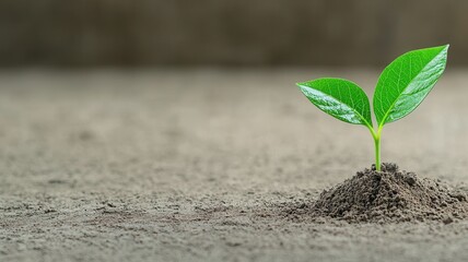 Young green seedling sprouting in rich soil, bathed in warm sunlight, representing growth, financial potential, and ecological commitment