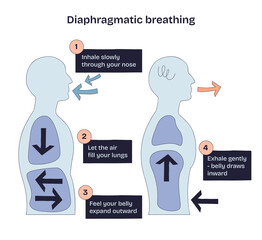 Plakat Diaphragmatic breathing shows airflow, lung expansion, and belly movement to explain deep breathing technique. Doodle style diagram