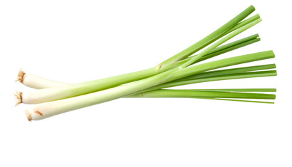 Fresh lemongrass stalks floating with transparent background