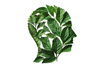 Nature-inspired human profile botanical art studio setting conceptual environment creative perspective visualizing identity with leaves Png, Transparent background.