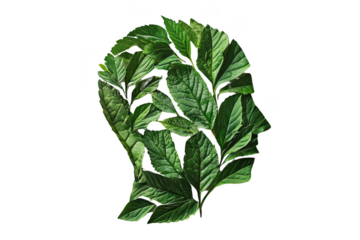 Nature-inspired human profile botanical art studio setting conceptual environment creative perspective visualizing identity with leaves Png, Transparent background.