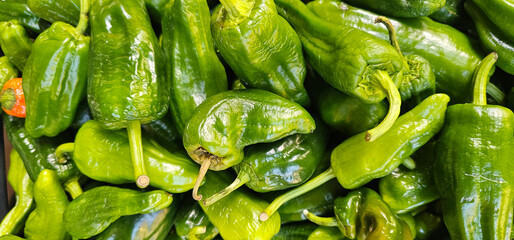 Green Padron peppers piled closely together, showing smooth and wrinkled textures with visible...