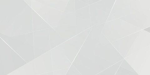 Abstract white and gray background. smooth abstract background, blurred pattern. Light pale vector background. Abstract pale geometric pattern eps 10