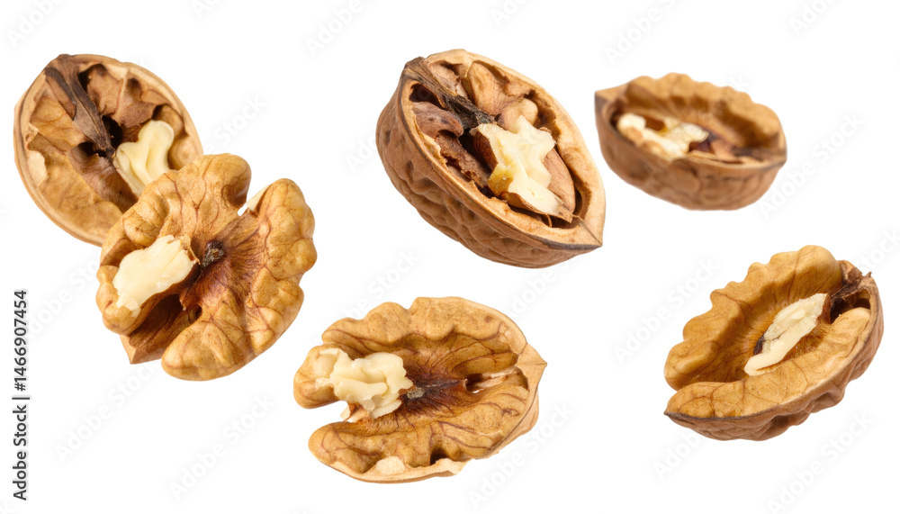 Poster walnut halves with realistic texture and natural lighting are hovering on a transparent background