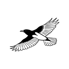 Obraz premium silhouette of a flyting bird, png transparent background