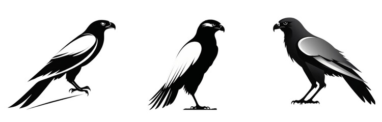 Obraz premium Three stylized birds with black and white plumage standing upright