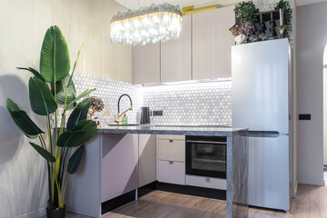 stylish design of small kitchen in shades of gray. Cozy atmosphere in kitchen, dim lights. Grey...