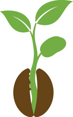 Flower plant seedling showing green growth while expanding its root system which could be used to outline economic recovery or business investment