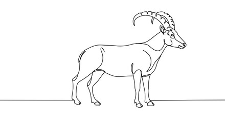 Obraz premium Ibex standing gracefully in minimalist line art 