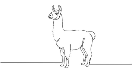 Fototapeta premium Llama standing gracefully in a minimalist line drawing 