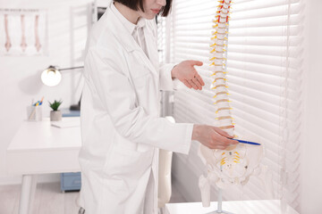 Doctor pointing at sections of human spine model in clinic, closeup