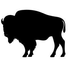 Silhouette of a majestic bison, symbol of American West, isolated on white